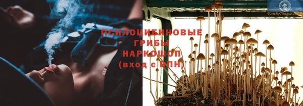 эйфоретик Балахна