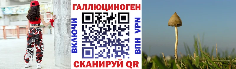 МЕГА маркетплейс  где найти   Лагань  Псилоцибиновые грибы Psilocybe 